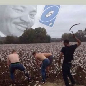 Meet your Posher, Tomas